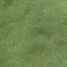 Carriso Organic Cotton Shorts