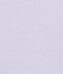 ARMEDANGELS - Tarjaa - Soft Lilac - BACKYARD