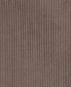 ARMEDANGELS - Zalaiaa Corduroy - Walnut Cream - BACKYARD