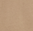 BASK IN THE SUN - Smoking Pipe Tee - Taupe - BACKYARD