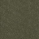 CARHARTT WIP - Alec Wallet - Office Green - BACKYARD