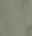 CARHARTT WIP - Flint Pant - Park - BACKYARD