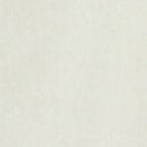 CARHARTT WIP - L/S C - Logo Shirt - Pale Olive White - BACKYARD