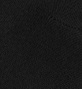 CARHARTT WIP - Script Sneakers Socks - Black White - BACKYARD