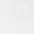 CARHARTT WIP - Script Sneakers Socks - White Black - BACKYARD