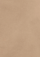 CARHARTT WIP - Single Knee Pant - Peanut Aged Canvas - BACKYARD