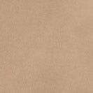 CARHARTT WIP - Single Knee Pant - Peanut Aged Canvas - BACKYARD