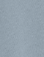 CARHARTT WIP - W' Hooded Casey Sweatshirt - Frosted Blue Silver - BACKYARD