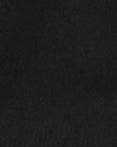 CARHARTT WIP - W' Script Brief - Black - BACKYARD