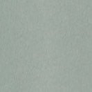 CARHARTT WIP - Women W' Hooded Casey Sweatshirt - Frosted Green Silver - BACKYARD