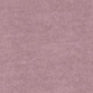 CARHARTT WIP - Women W' S/S Nelson T-Shirt - Phlox Garment Dyed - BACKYARD