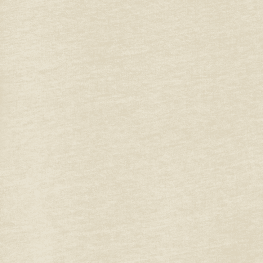 CARHARTT WIP - Women W' S/S Nelson T-Shirt - Stone Garment Dyed - BACKYARD