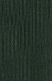 COLORFUL STANDARD - Classic Organic Sock - Emerald Green - BACKYARD