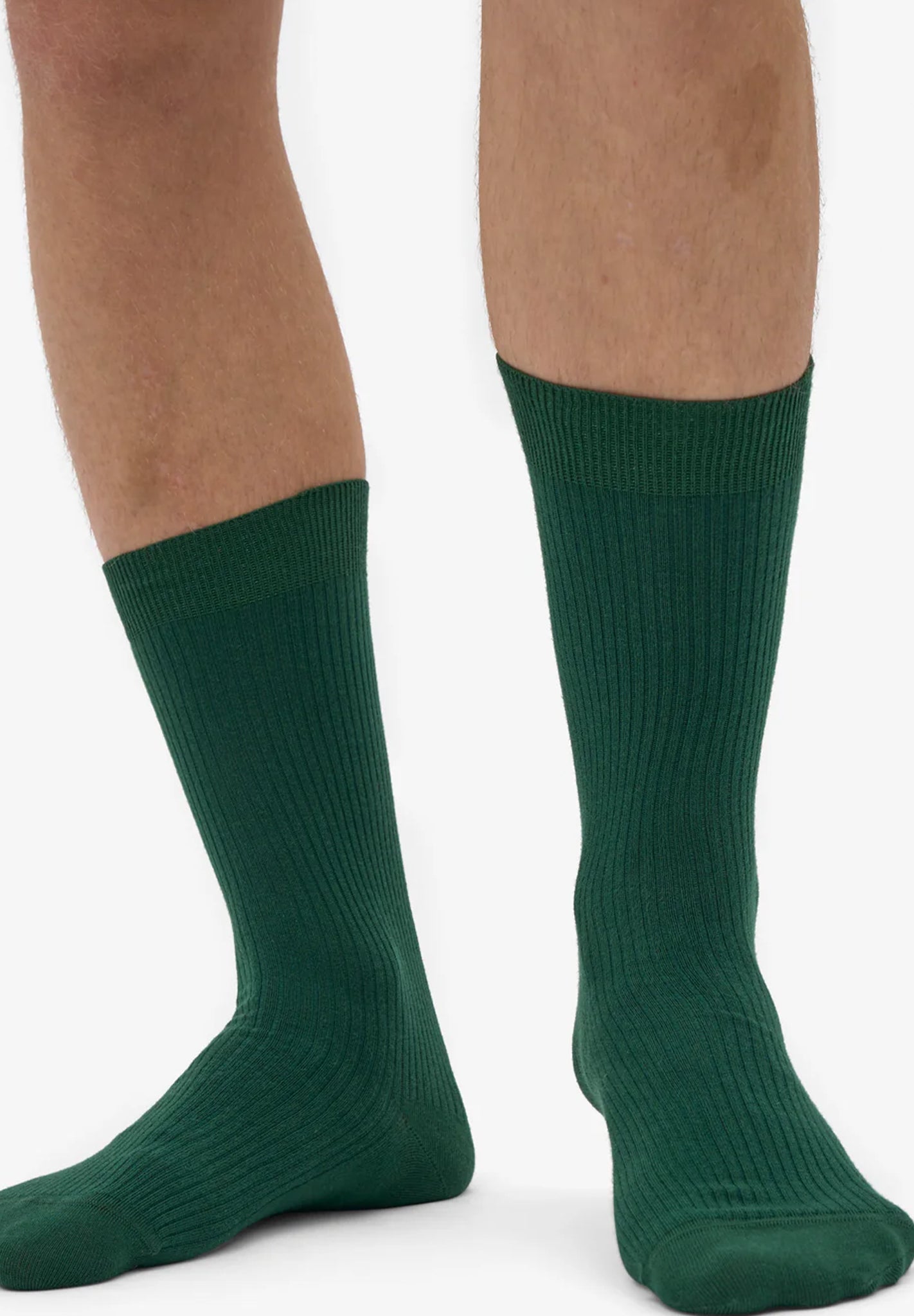 COLORFUL STANDARD - Classic Organic Sock - Emerald Green - BACKYARD