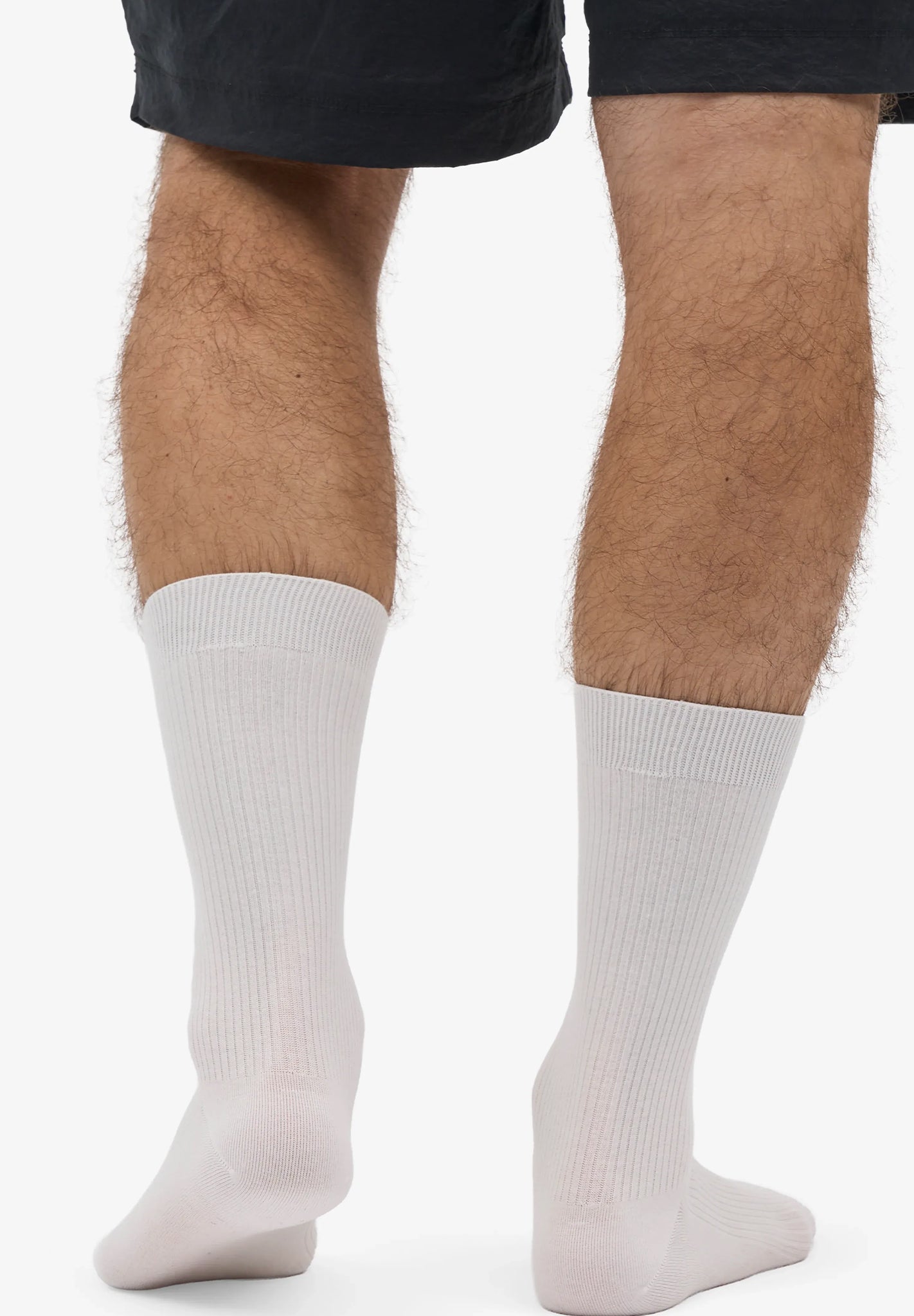 COLORFUL STANDARD - Classic Organic Sock - Optical White - BACKYARD