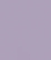 COLORFUL STANDARD - Classic Organic Tee - Purple Jade - BACKYARD
