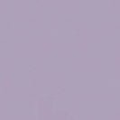 COLORFUL STANDARD - Classic Organic Tee - Purple Jade - BACKYARD