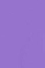 COLORFUL STANDARD - Classic Organic Tee - Ultra Violet - BACKYARD