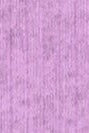COLORFUL STANDARD - Organic Active Sock - Cherry Blossom - BACKYARD