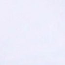 COLORFUL STANDARD - Organic Boxy Crop Tee - Optical White - BACKYARD