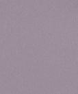 COLORFUL STANDARD - Organic Oversized Crew - Purple Haze - BACKYARD