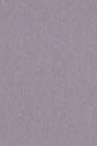 COLORFUL STANDARD - Organic Oversized Crew - Purple Haze - BACKYARD
