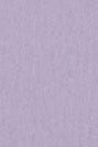 COLORFUL STANDARD - Organic Oversized Hood - Purple Jade - BACKYARD