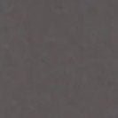 COLORFUL STANDARD - Women Light Organic Tee - Lava Grey - BACKYARD