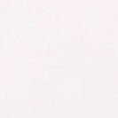 COLORFUL STANDARD - Women Light Organic Tee - Optical White - BACKYARD