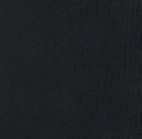 GOT BAG - Rolltop 2.0 - Black - BACKYARD