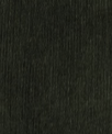 KNOWLEDGE COTTON - Chuck Regular Cord Chino Pants - Forest Night - BACKYARD