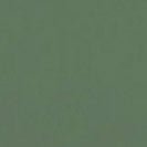 NOTABAG - Notabag Crossbody - Fern Green - BACKYARD