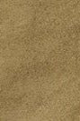 PASSENGER - Adventurer Organic Canvas Trouser - Dark Olive - BACKYARD