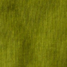 Backcountry Cord Shirt