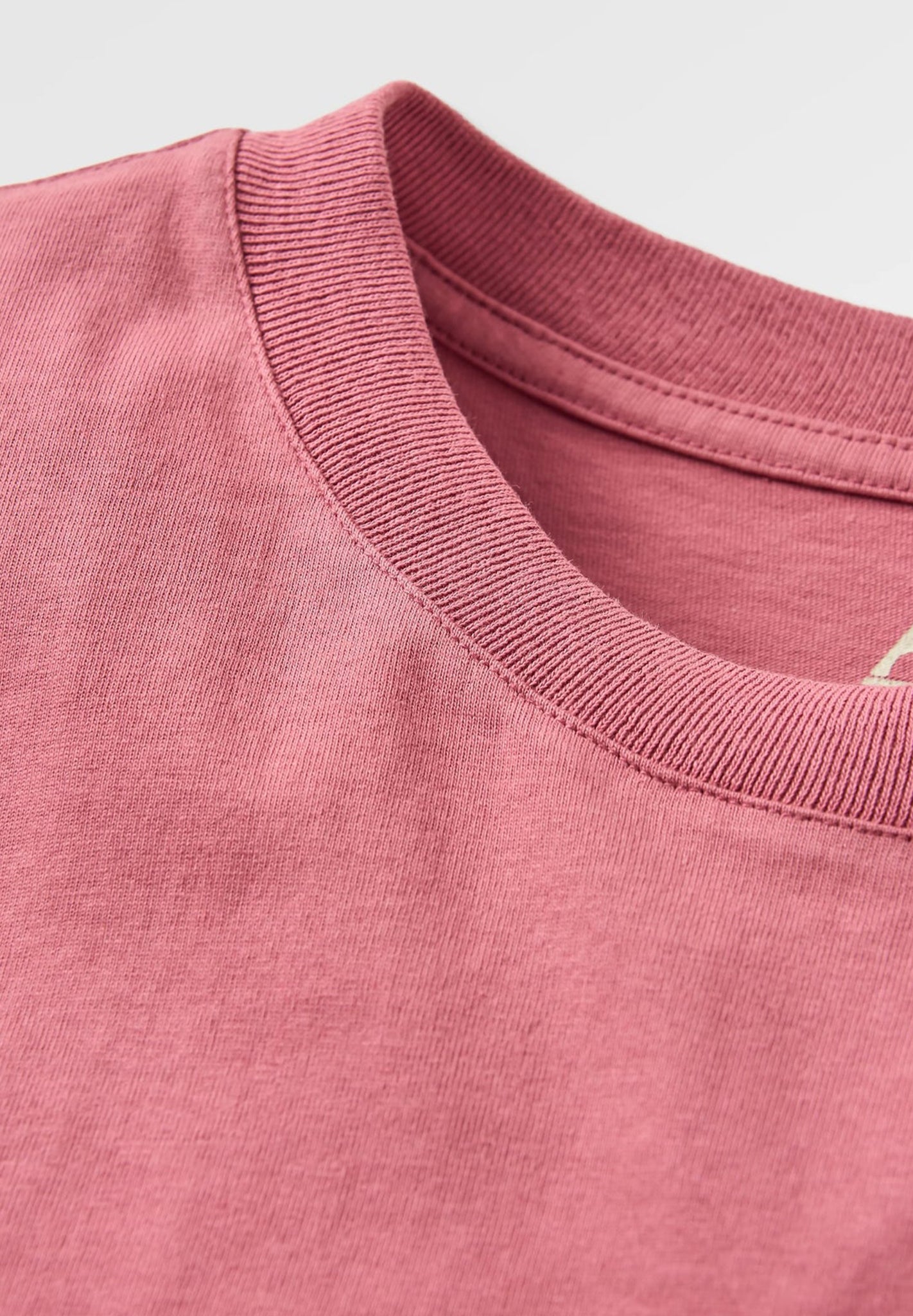 PASSENGER - Heritage Recycled Relaxed Fit T-Shirt - Mauve Dusk - BACKYARD