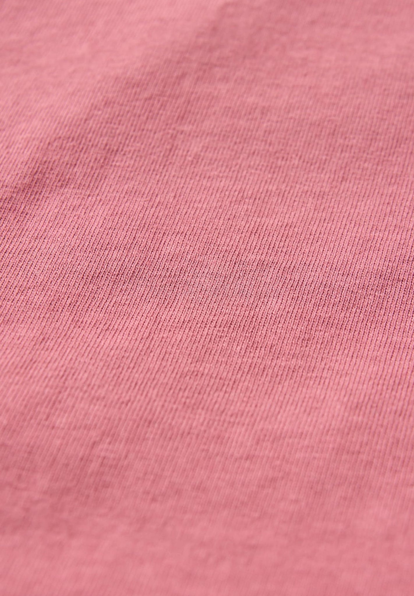 PASSENGER - Heritage Recycled Relaxed Fit T-Shirt - Mauve Dusk - BACKYARD