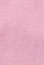 PASSENGER - Heritage Recycled Relaxed Fit T-Shirt - Pink Haze - BACKYARD