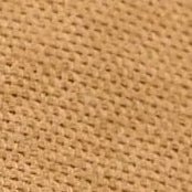 PASSENGER - Lakeside Cargo Cotton Short - Caramel - BACKYARD
