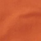 PASSENGER - Phoenix Organic Cotton T-Shirt - Burnt Orange - BACKYARD