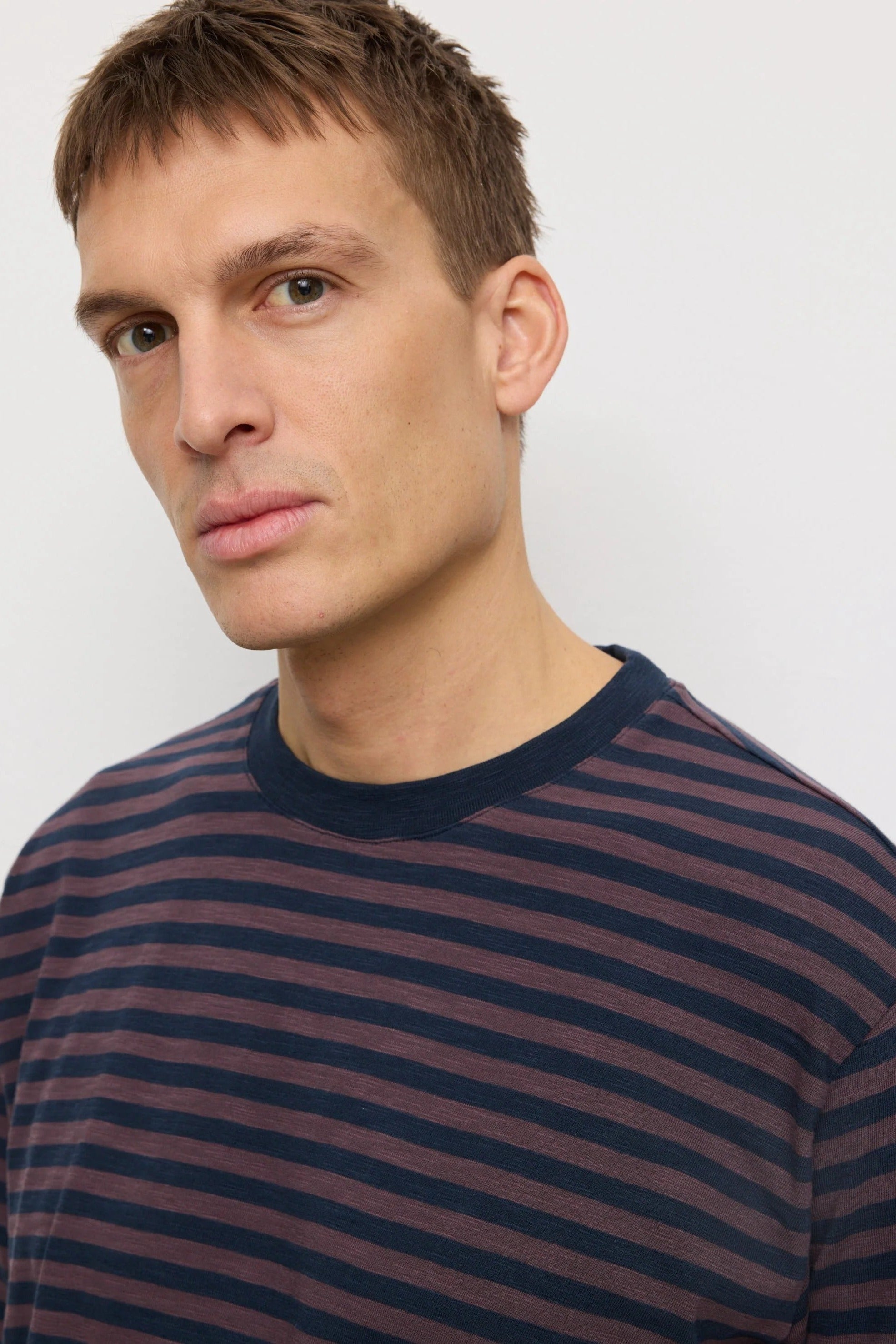 Delonix Stripes