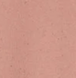SESSUN - Chebbi - Blush Tint - BACKYARD