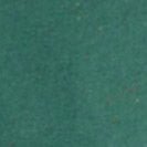 SESSUN - Chebbi - Tea Tree - BACKYARD