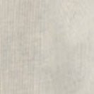 SESSUN - Notteri - Icy - BACKYARD