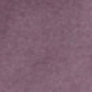 SESSUN - Orlando - Lotus - BACKYARD