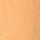 SESSUN - Velvet Cruise - Solar Alba - BACKYARD