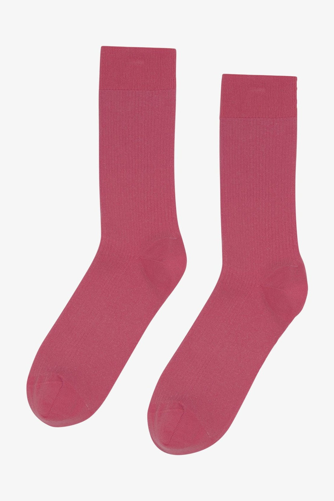 COLORFUL STANDARD - Classic Organic Sock - Raspberry Pink - BACKYARD